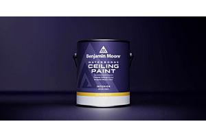 Benjamin Moore Waterborne Ceiling Paint Review - Is it Worth it?