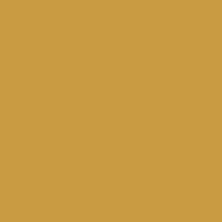 Benjamin Moore Fields of Gold (203)
