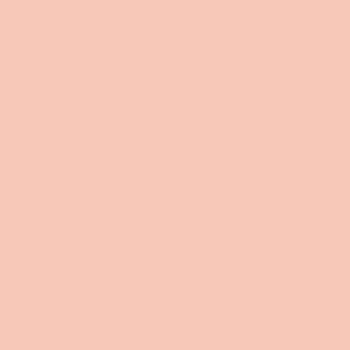 Benjamin Moore Coral Buff (024)