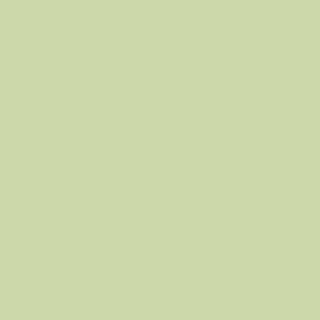 Benjamin Moore Sienna Laurel (536)