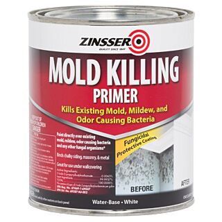 Zinsser Mold Killing Primer