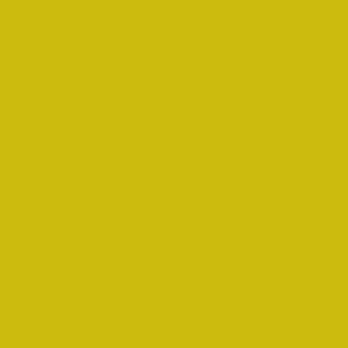 Benjamin Moore Eve Green (2024-20)