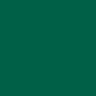 Benjamin Moore True Green (2042-10)