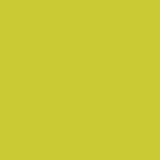 Benjamin Moore Exotic Lime (399)