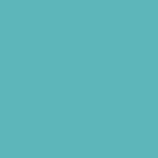 Benjamin Moore Harbor Side Blue (740)