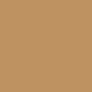 Benjamin Moore Desert Beach (1104)