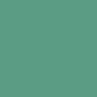 Benjamin Moore Alpine Trail (622)