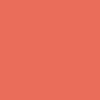 Benjamin Moore Picante (006)