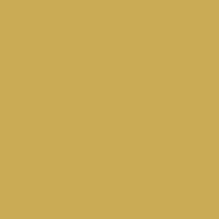 Benjamin Moore Hollywood Gold (279)