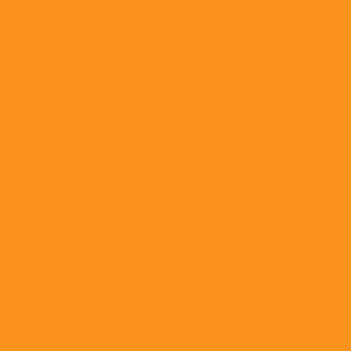 Benjamin Moore Sharp Cheddar (2017-20)