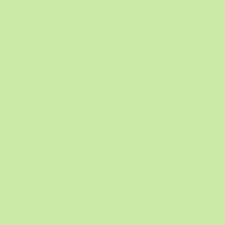 Benjamin Moore Key Lime (2031-50)