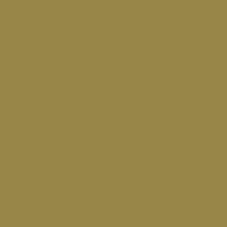 Benjamin Moore G.I. Green (2149-20)