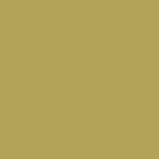 Benjamin Moore Turning Leaf (384)