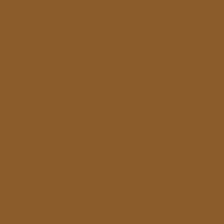 Benjamin Moore Mexican Hot Chocolate (CSP-1080)