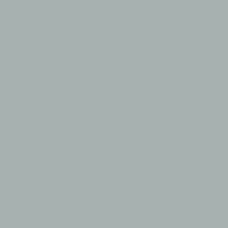 Benjamin Moore Silver Mink (1586)
