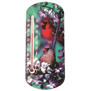 Taylor Window Thermometer, -40 to 120 deg F