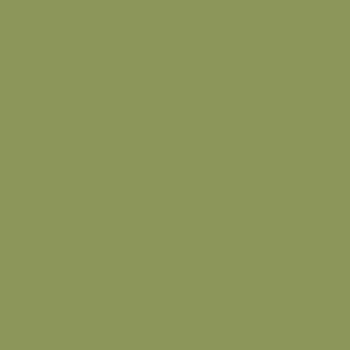 Benjamin Moore Sycamore Tree (539)