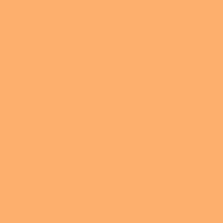 Benjamin Moore Tangerine Zing (132)