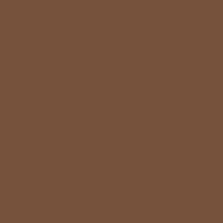 Benjamin Moore Charleston Brown (PM-23)