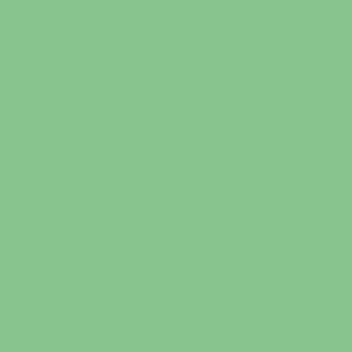 Benjamin Moore Branch Brook Green (572)