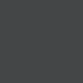 Benjamin Moore Graphite (1603)