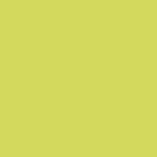 Benjamin Moore Chamomile (397)