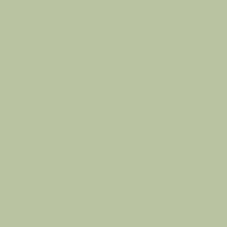 Benjamin Moore Lily Pad (480)