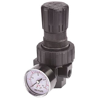 Tru-Flate 24-404 Airline Regulator, 1/4 in, 55 scfm Flow, Polycarbonate