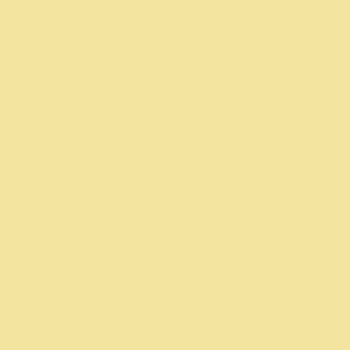 Benjamin Moore Copacabana (284)