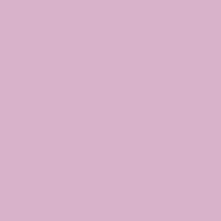 Benjamin Moore Luscious (1369)