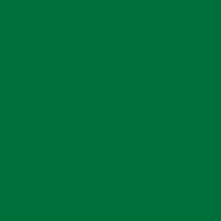 Benjamin Moore Amazon Moss (2037-10)