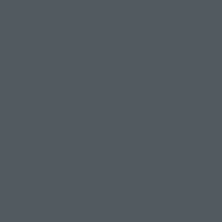 Benjamin Moore Deep Secret® (CSP-625)