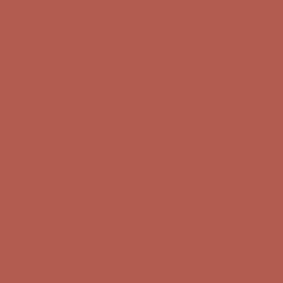 Benjamin Moore Moroccan Spice (AF-285)