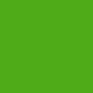 Benjamin Moore Neon Lime (2031-10)