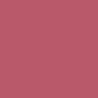 Benjamin Moore Mardi Gras (1342)