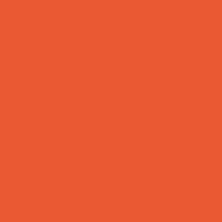 Benjamin Moore Orange Nectar (2013-20)
