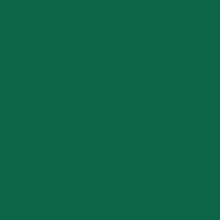 Benjamin Moore Celtic Green (2038-10)
