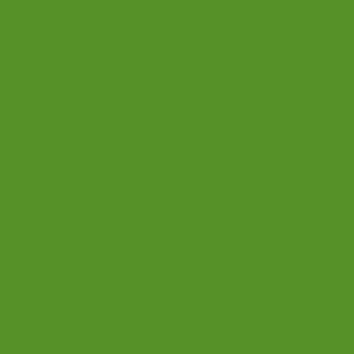 Benjamin Moore Basil Green (2029-10)