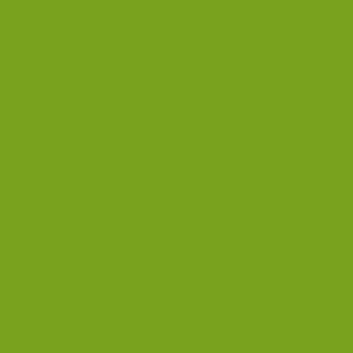 Benjamin Moore Iguana Green (2028-10)