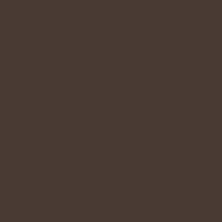 Benjamin Moore Appalachian Brown (2115-10)