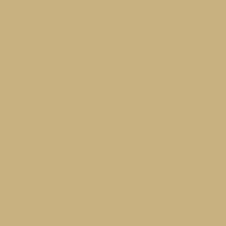 Benjamin Moore Barley Grass (271)