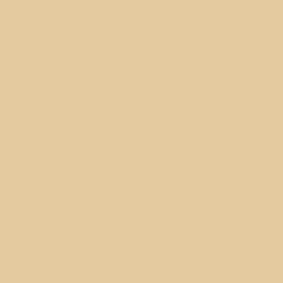Benjamin Moore Byrd Beige (CW-365)