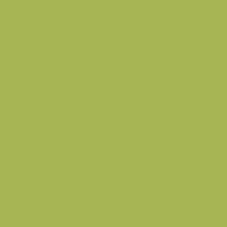 Benjamin Moore Perennial (405)