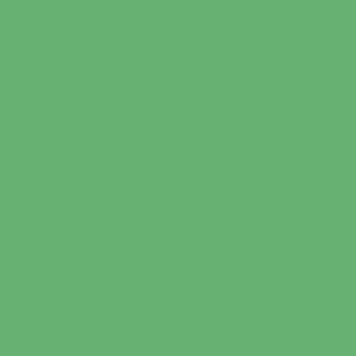 Benjamin Moore Four Leaf Clover (573)