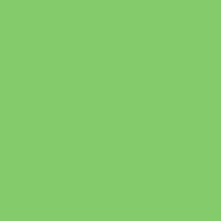Benjamin Moore Killala Green (558)