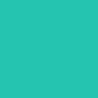 Benjamin Moore Green Sponge (2046-40)
