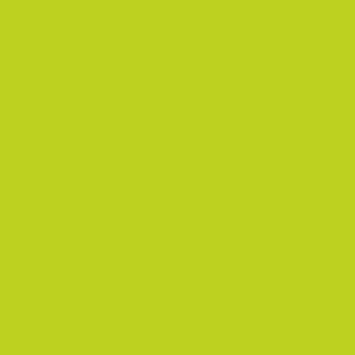 Benjamin Moore Snow Cone Green (2026-30)