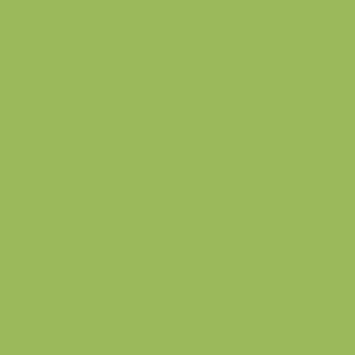 Benjamin Moore Blooming Grove (413)