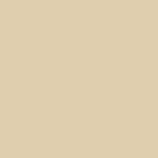 Benjamin Moore Lady Finger (1045)