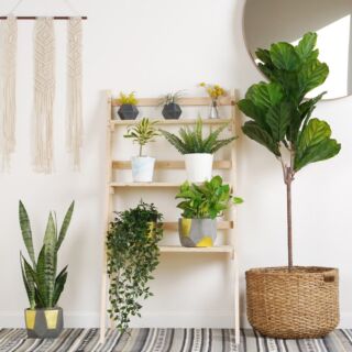 Ladder Plant Stand (Pre-cut materials)